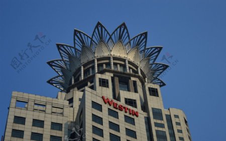 上海威斯丁酒店图片