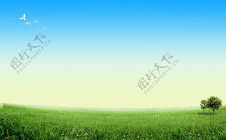 绿色草地环保背景图片