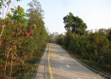 深圳道路图片