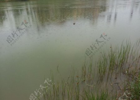海草湖水图片