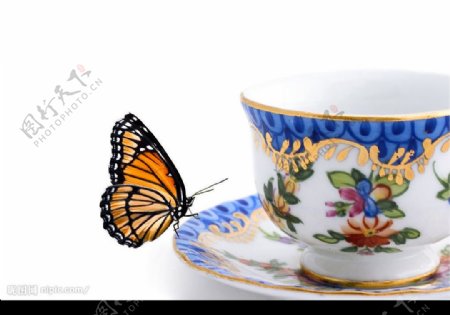 蝴蝶和红茶杯图片