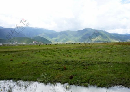 西藏香格里拉山图片