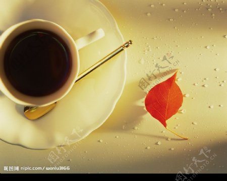 咖啡和枫叶图片