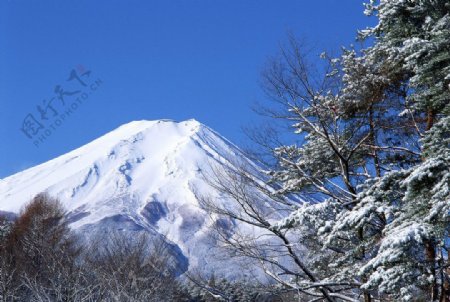 富士山冬景图片