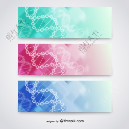 精美DNA科技横幅设计图片
