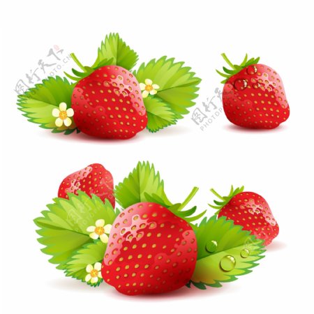 草莓矢量图图片