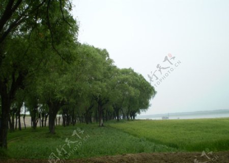 淮河岸边美景图片