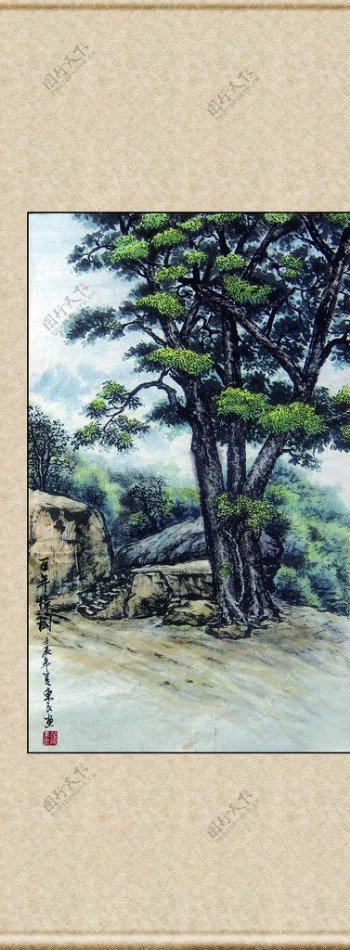 百年樟树图片
