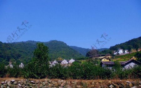 桥溪村风景图片