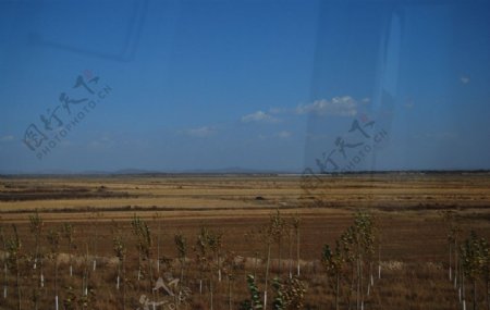 草原沿途风景图片