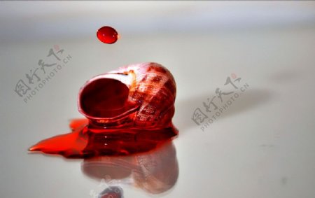 蜗牛水滴图片