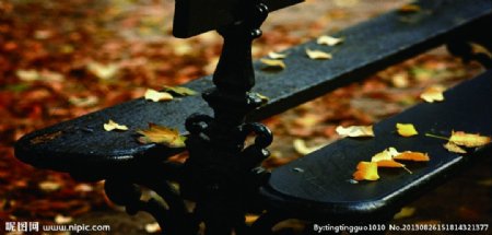 秋天有落叶的休息椅图片