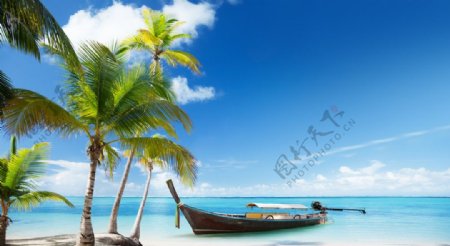 海洋沙滩椰子树游船图片