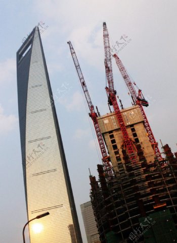 上海中心和环球世贸中心图片
