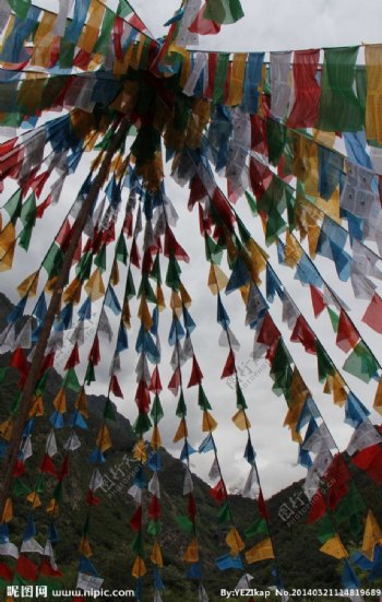 西藏彩旗图片