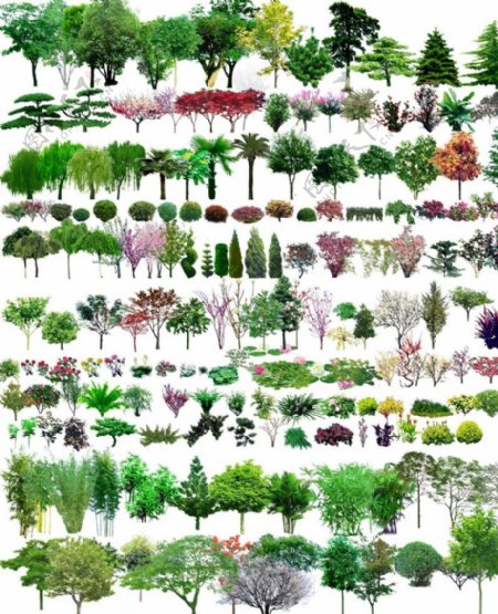 PS植物图例图片