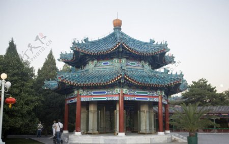 北京中山公园唐花坞图片