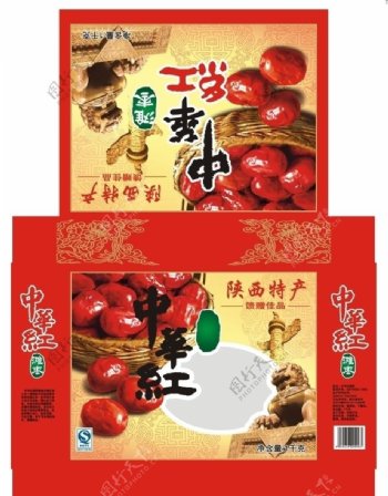 中华红滩枣图片