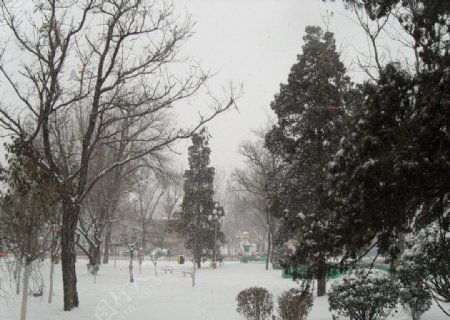 雪景美景图片