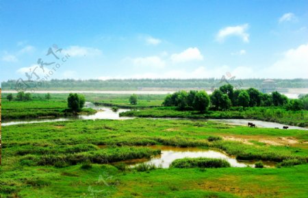 西安浐灞国家生态湿地公园图片
