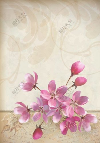 花卉装饰素雅背景素材图片
