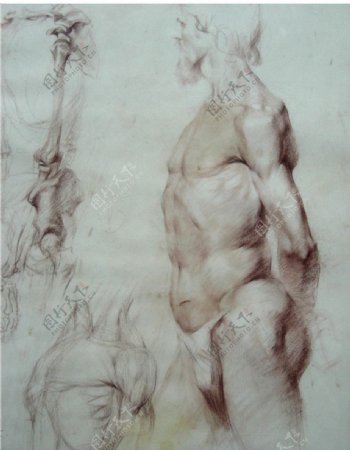 俄罗斯美术作品精品素描男人体写生图片