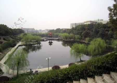 湘潭大学的画眉潭的自然风景图片