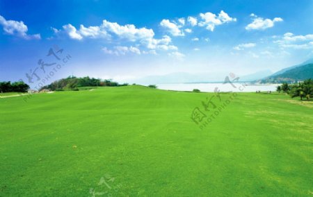 高尔夫球场风景图片