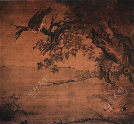 枫鹰雉鸡图图片