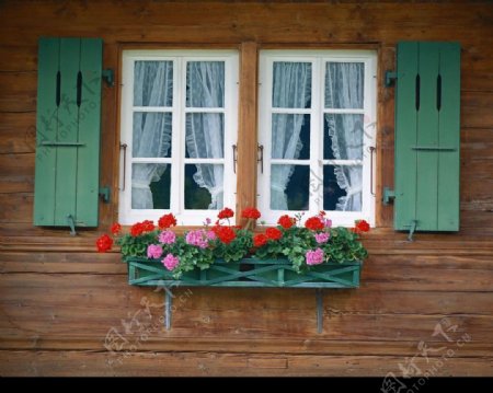 外窗绿化图片