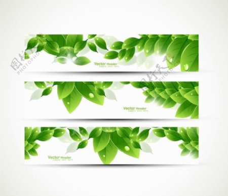 绿叶水珠水滴banners绿色环保背景图片
