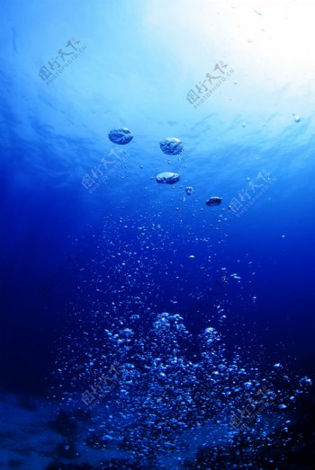 海底气泡图片