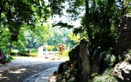 西霞寺小径图片