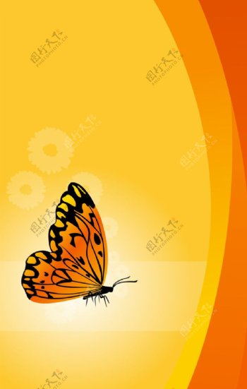 黄色蝴蝶背景图片