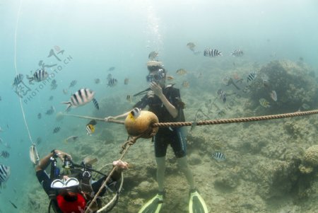 海底打捞海洋探险图片