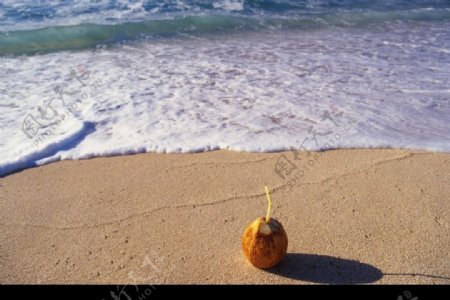 沙滩上的椰子饮料图片