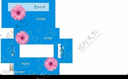 蓝色红菊花女性包装鞋盒图片