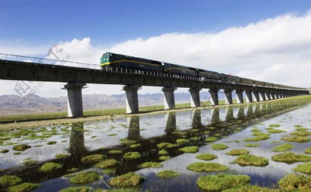 西藏进入的铁路高架桥图片