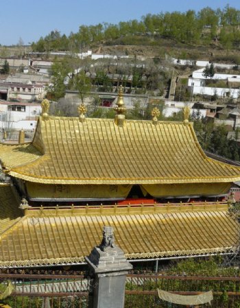 塔尔寺青海高原寺庙藏传佛教金顶图片