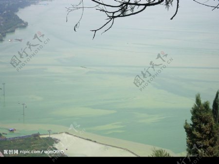 08年7月31日昆明西山看滇池绿藻图片