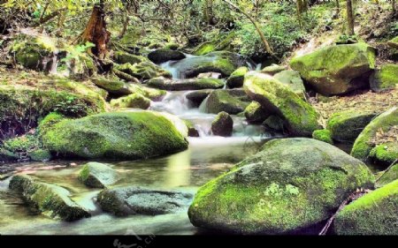石涧绿溪图片