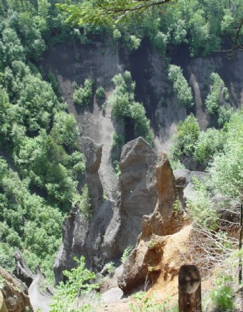 长白山大峡谷溶岩林图片