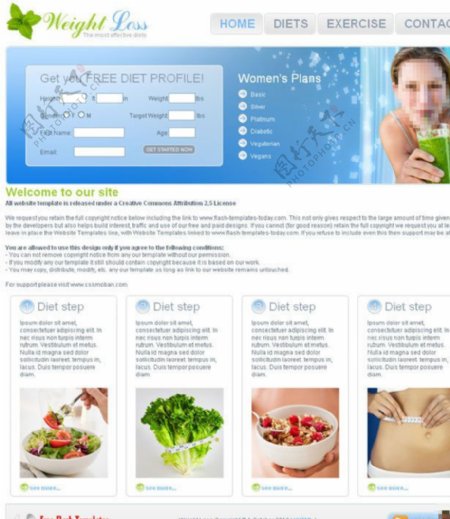 减肥食谱css网站图片