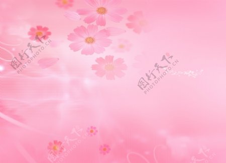 粉色花梦幻背景图片