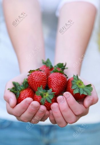 双手捧着美味草莓图片