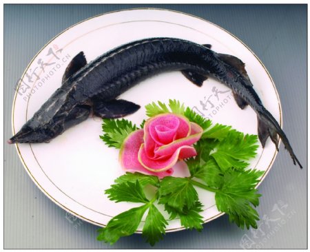 清蒸鲟鱼图片
