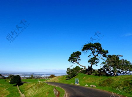 新西兰景观图片