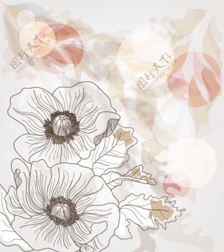梦幻古典花纹花朵图片