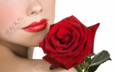 性感美女和玫瑰图片