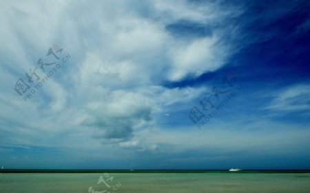 蓝天白云下的绿色海洋图片